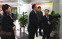 大渡口区统战部部长王涛来云顶集团官网集团调研